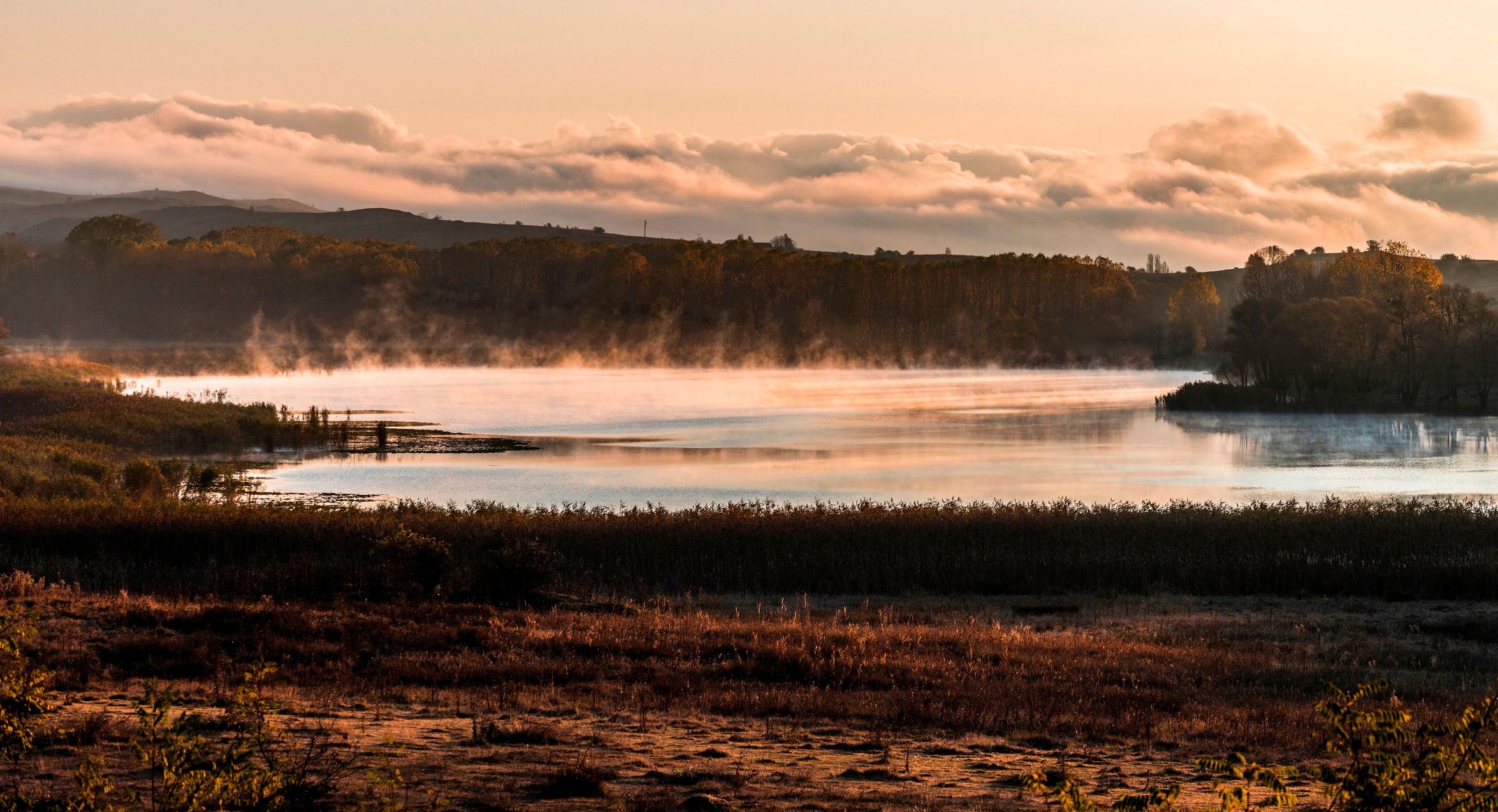 Misty lake at dawn