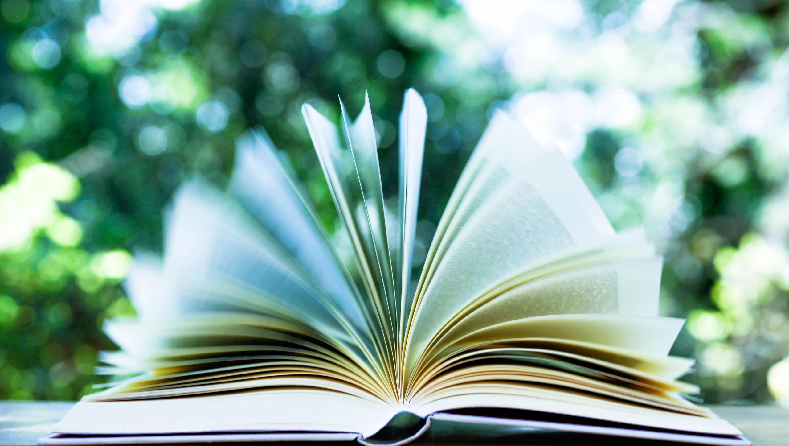 Open book outdoors